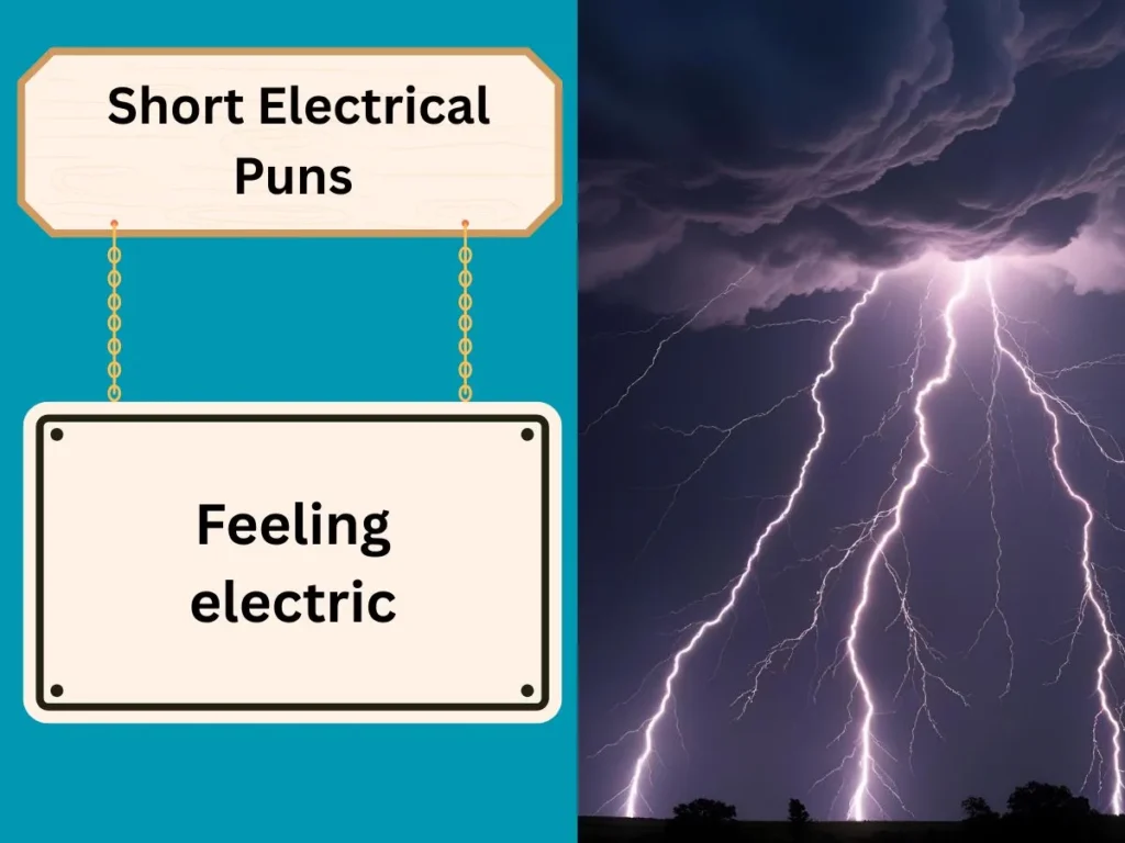 Short Electrical Puns