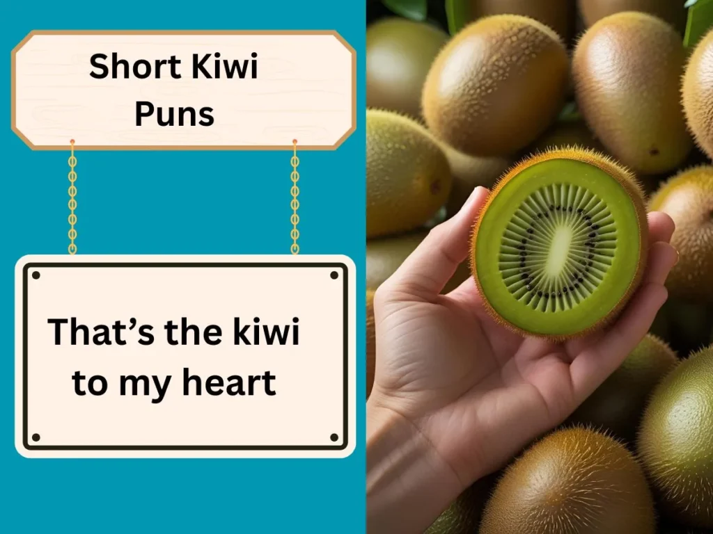 Short Kiwi Puns