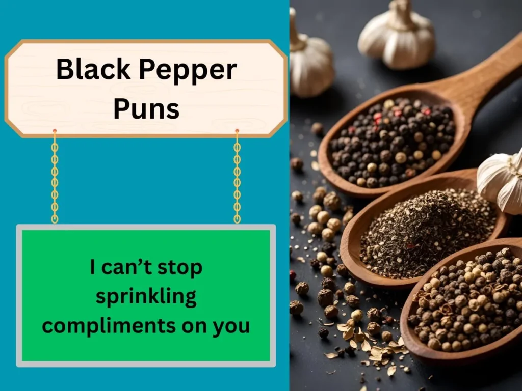 Black Pepper Puns