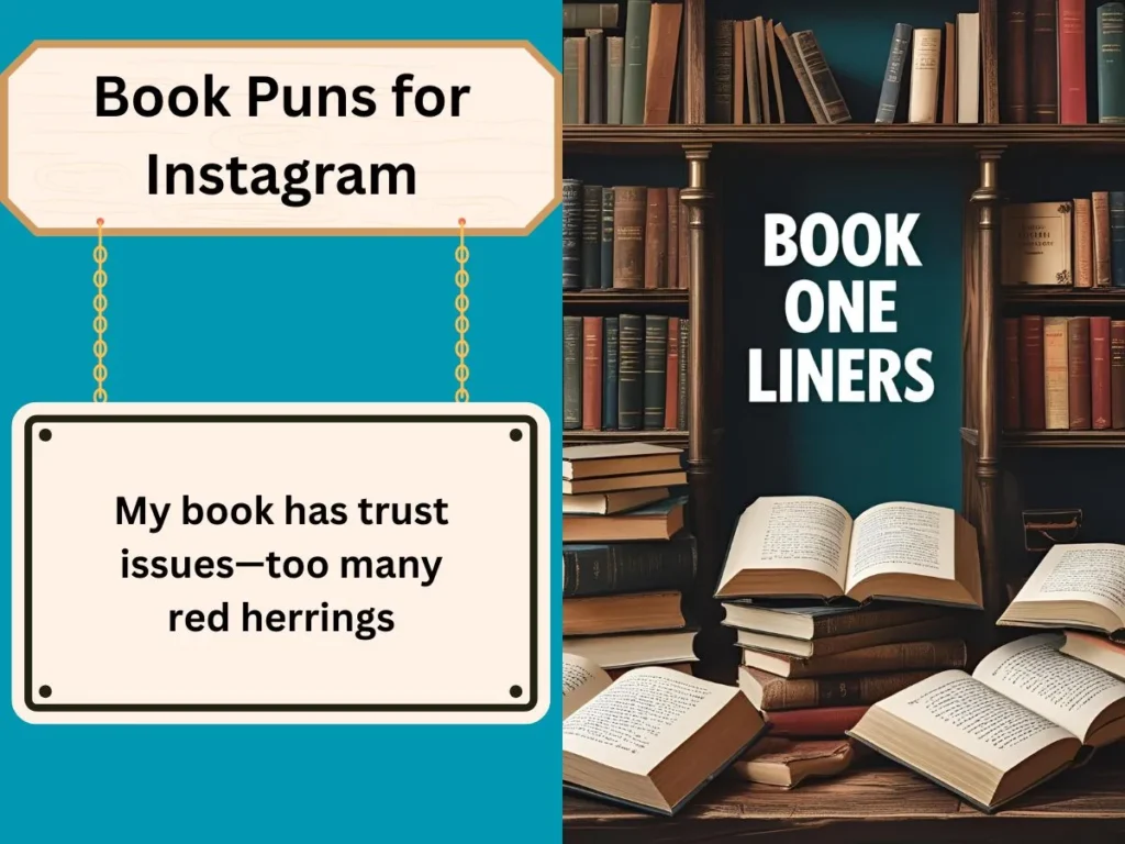 Book Puns One Liners
