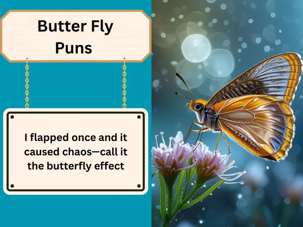 Butter Fly Puns