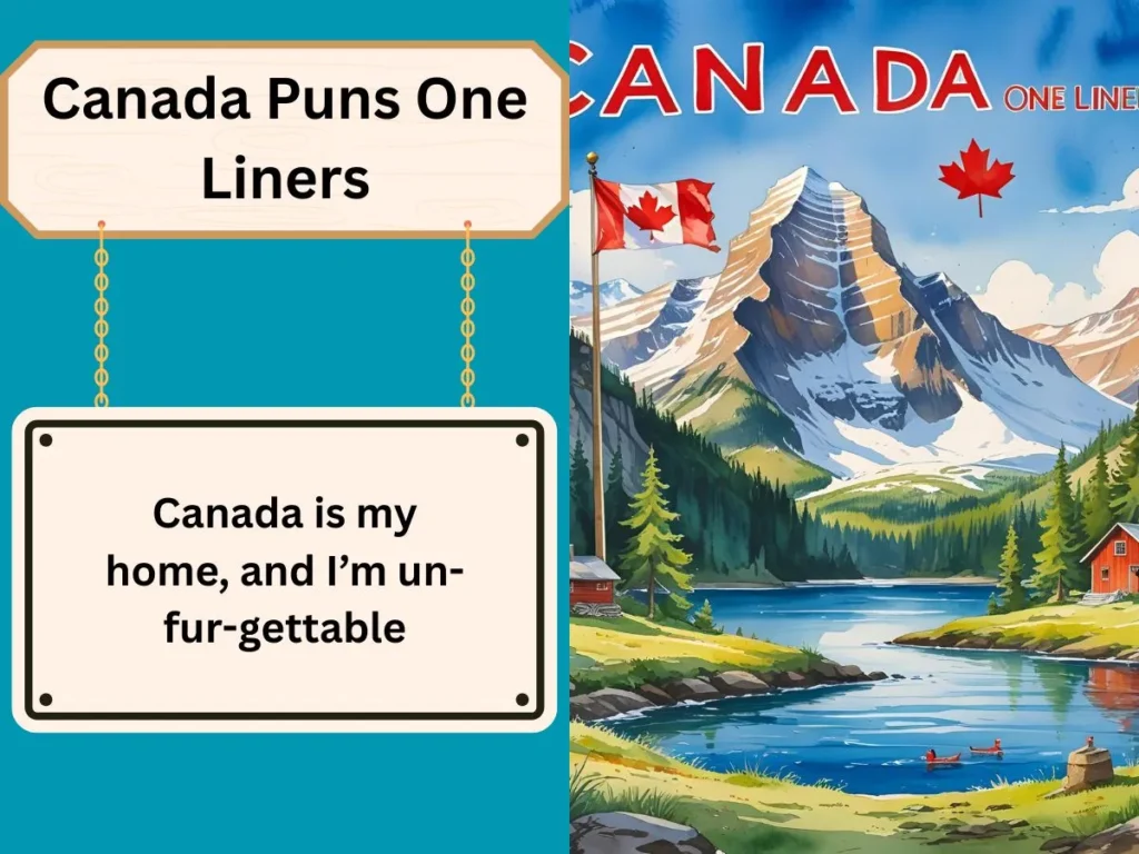 Canada Puns One Liners