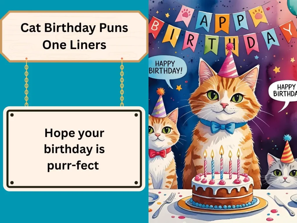 Cat Birthday Puns One Liners
