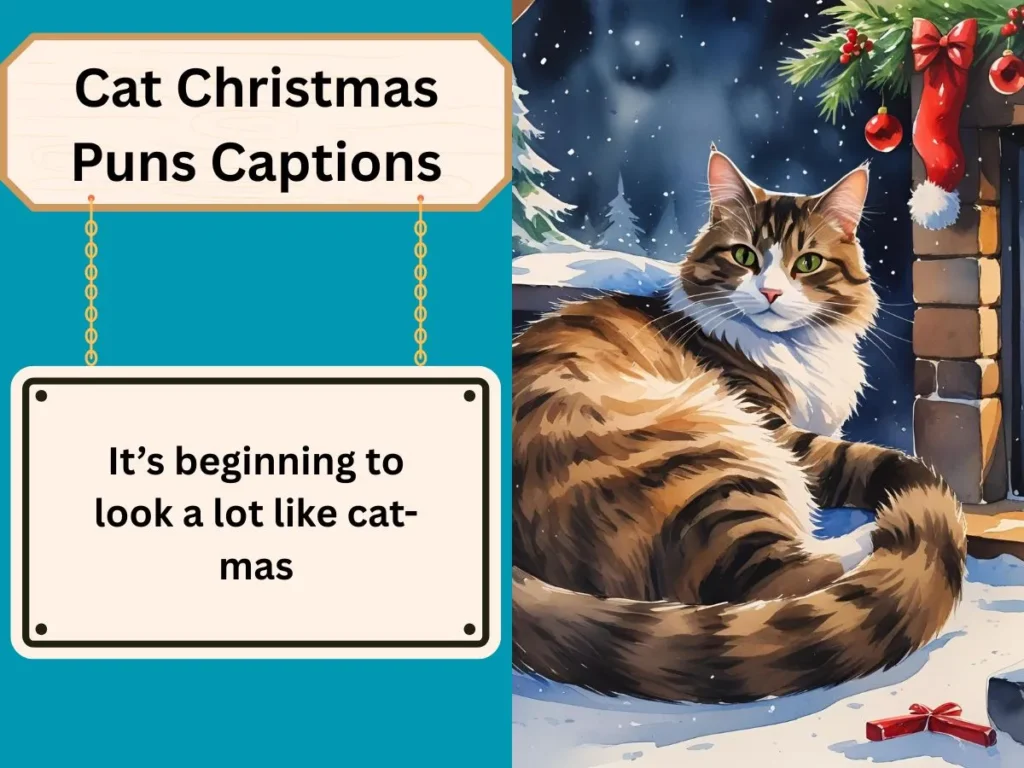 Cat Christmas Puns Captions