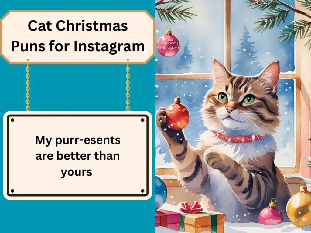 Cat Christmas Puns for Instagram