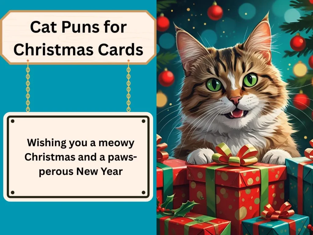 Cat Puns for Christmas Cards