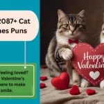 Cat Valentines Puns
