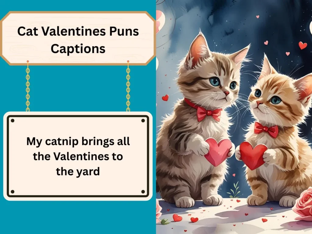 Cat Valentines Puns Captions