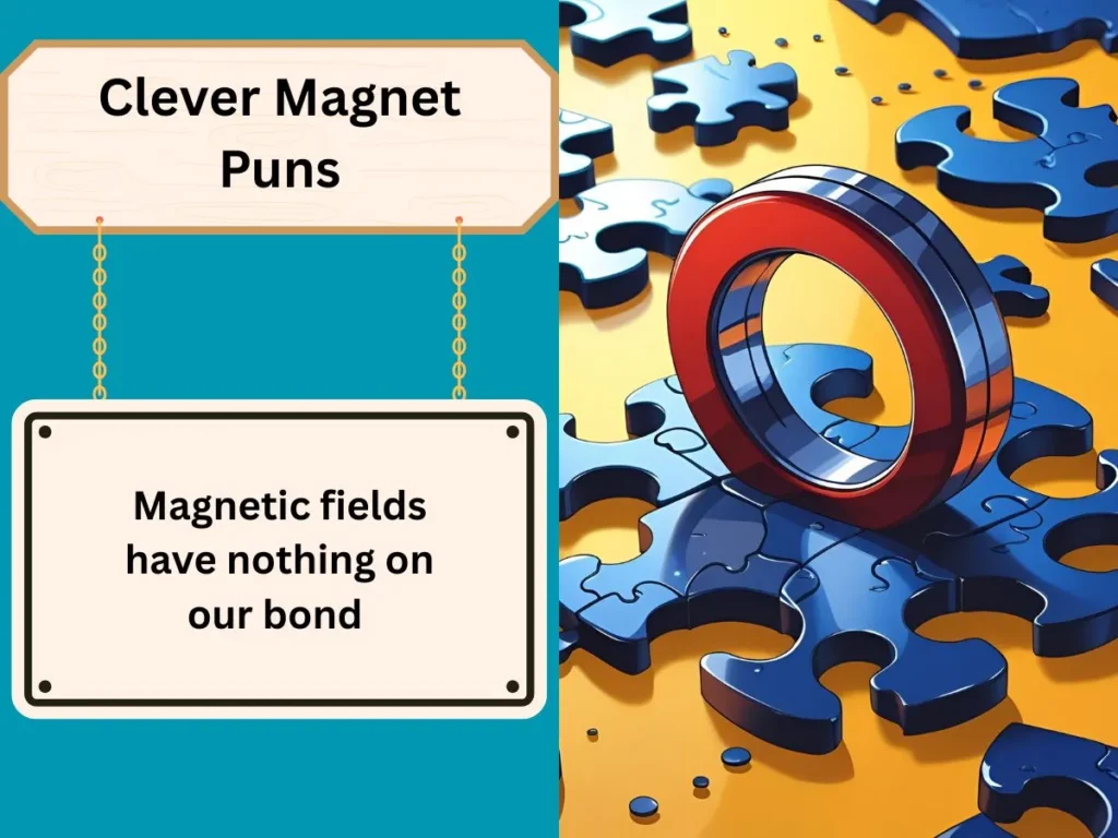 Clever Magnet Puns