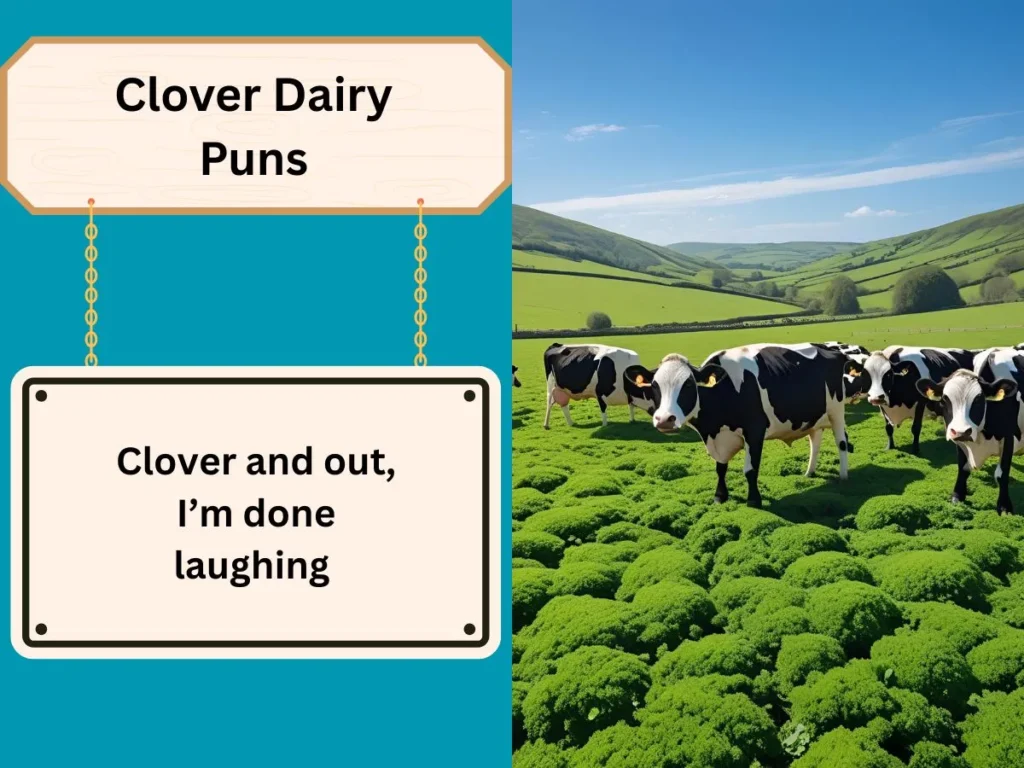 Clover Dairy Puns