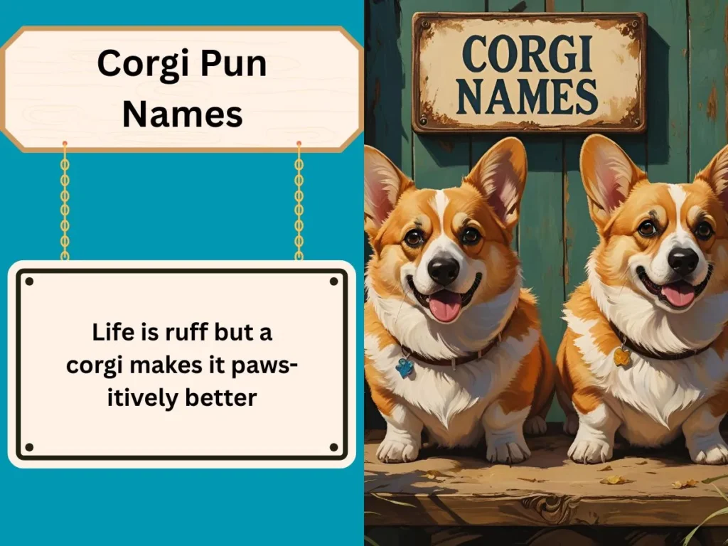 Corgi Pun Names