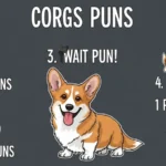 Corgi Puns