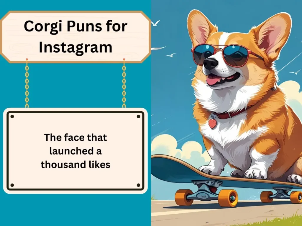 Corgi Puns for Instagram