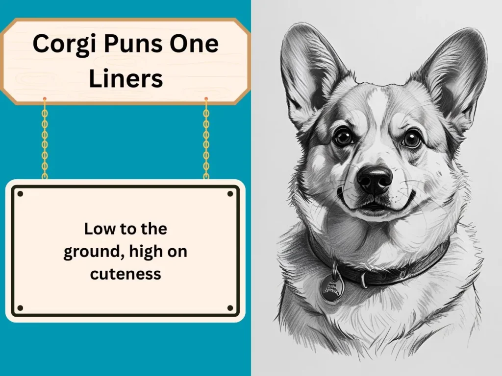 Corgi Puns One Liners