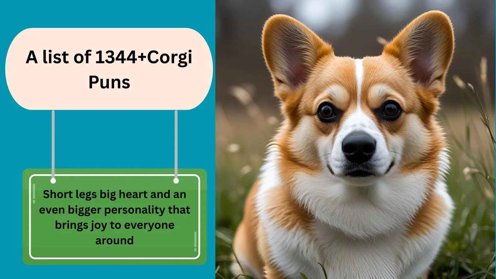 You are currently viewing 1344+Corgi Puns to Brighten Your Day with Fluffy Humor for 2025