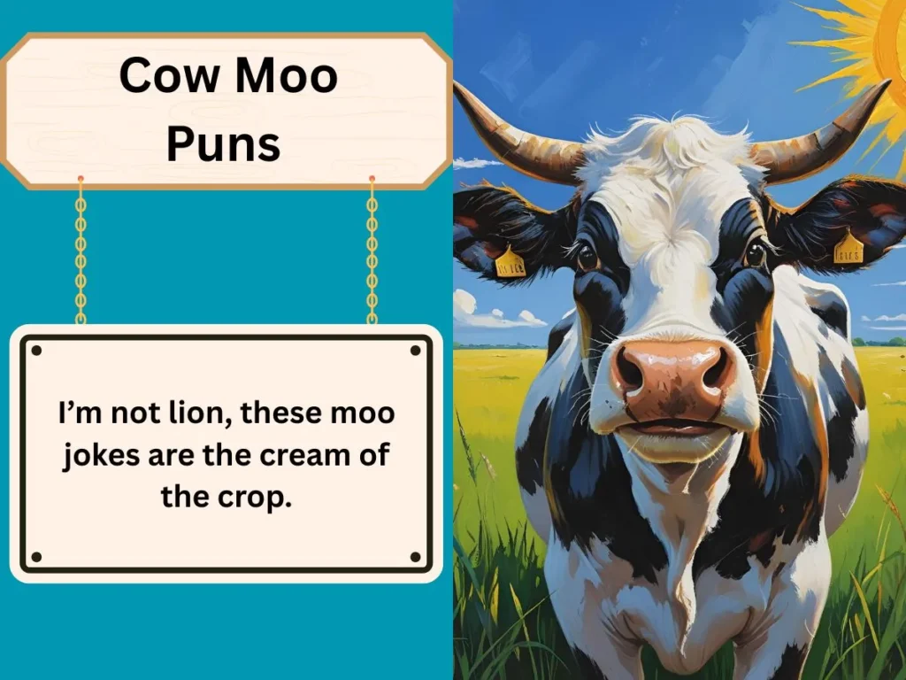 Cow Moo Puns