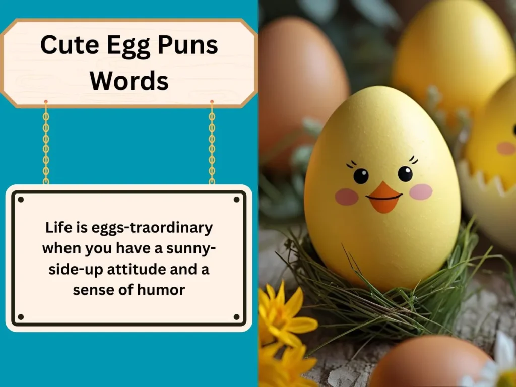 Cute Egg Puns Words