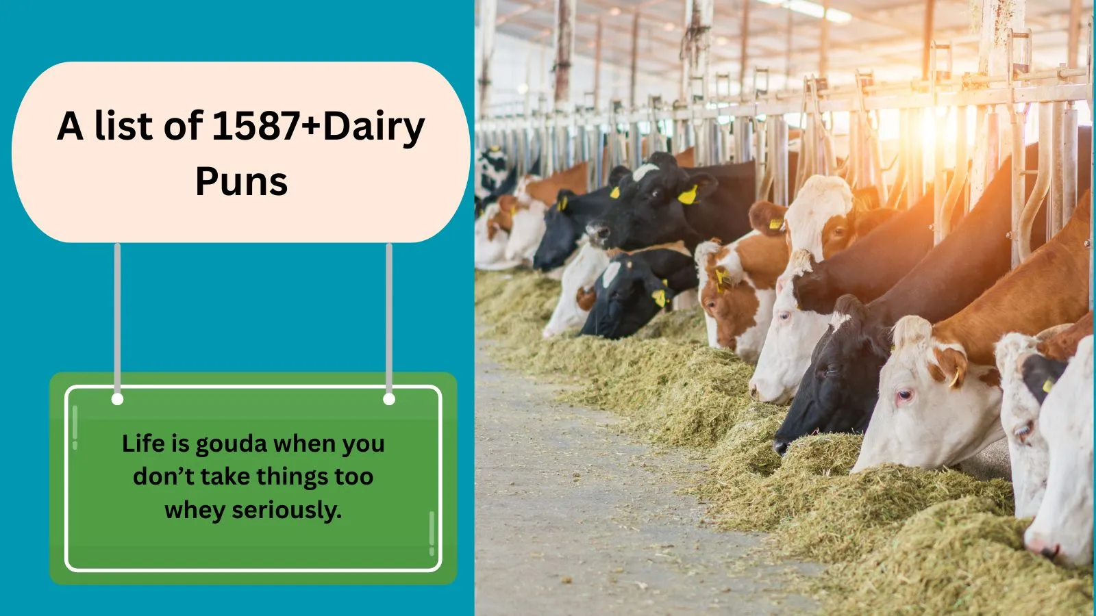 You are currently viewing 1587+Trending Dairy Puns That Will Butter You Up 2025