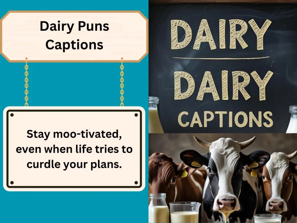 Dairy Puns Captions
