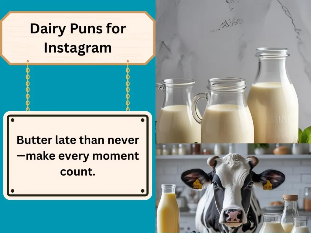 Dairy Puns for Instagram