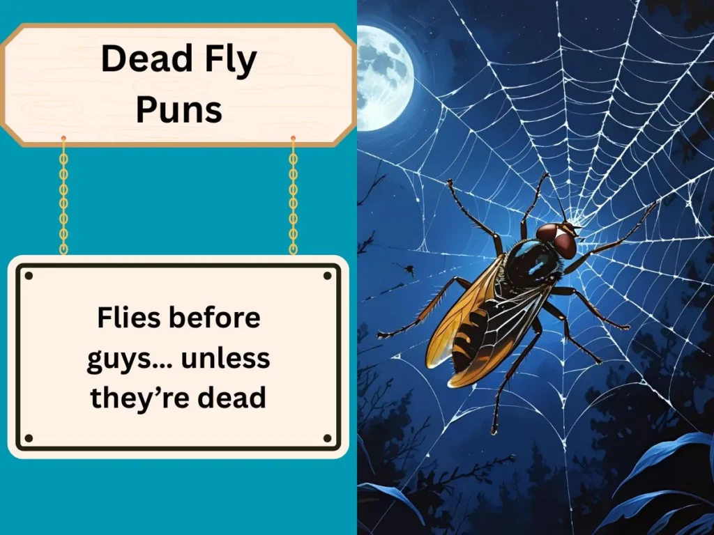 Dead Fly Puns