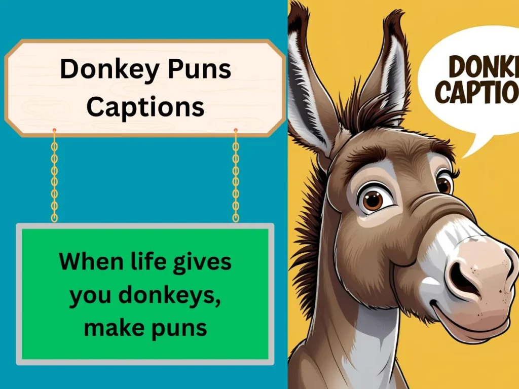 Donkey Puns Captions