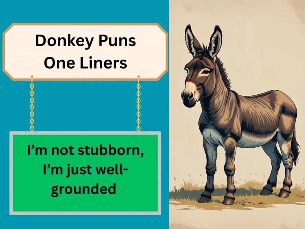 Donkey Puns One Liners
