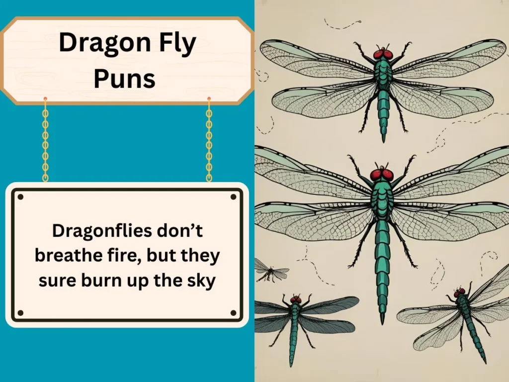 Dragon Fly Puns