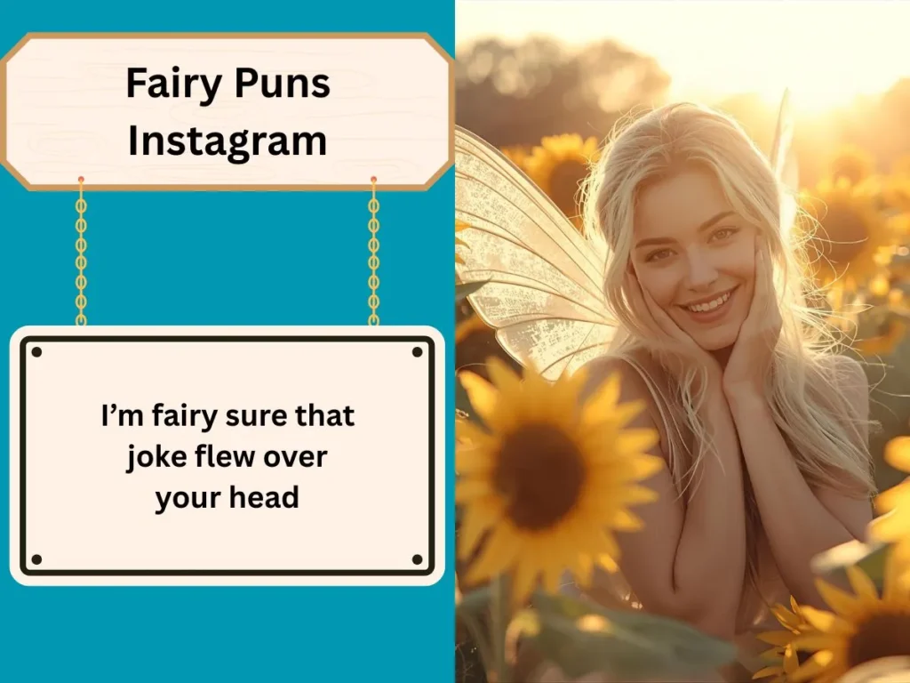 Fairy Puns Instagram
