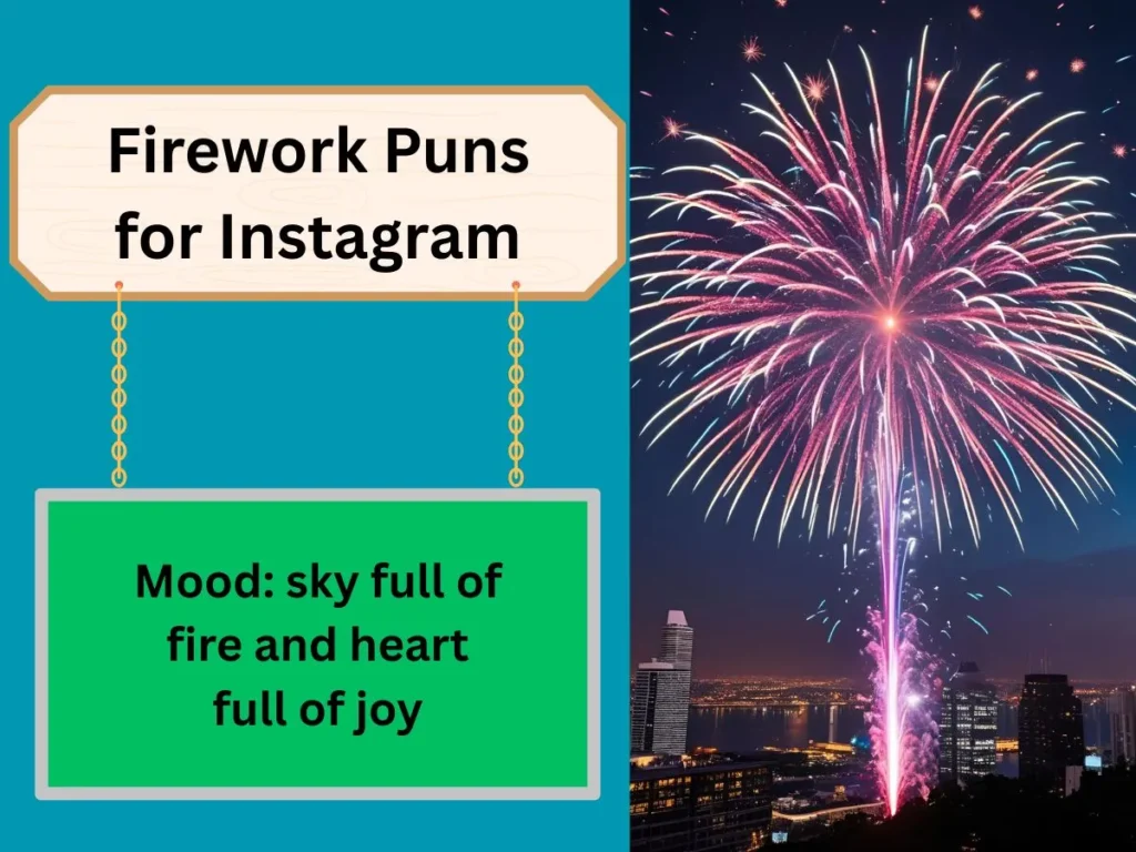 Firework Puns for Instagram