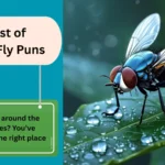 Fly Puns