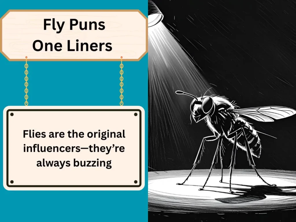 Fly Puns One Liners