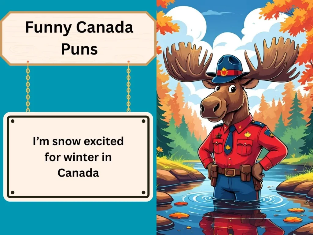 Funny Canada Puns