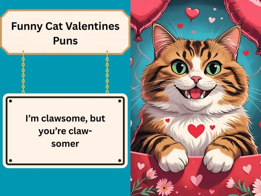 Funny Cat Valentines Puns