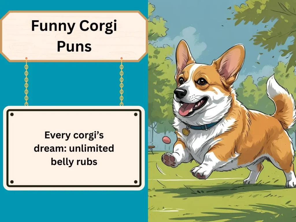 Funny Corgi Puns