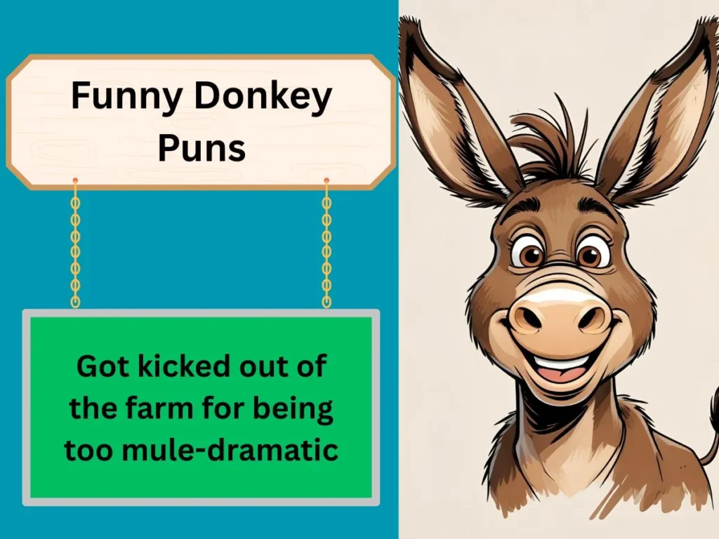 Funny Donkey Puns