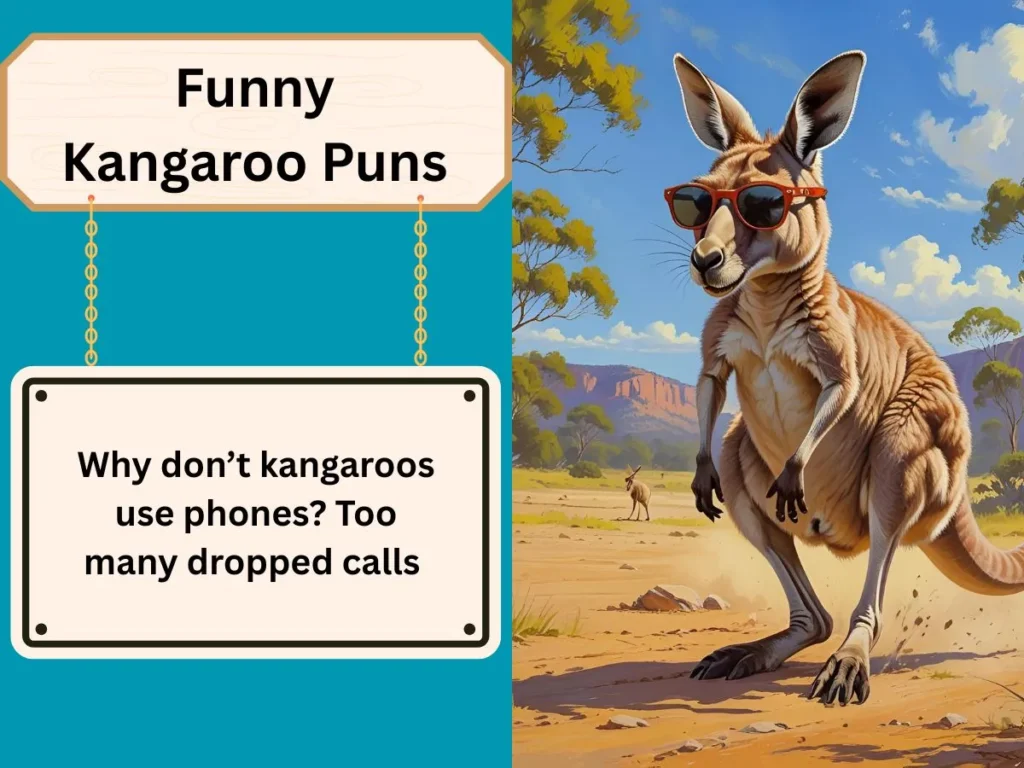 Funny Kangaroo Puns