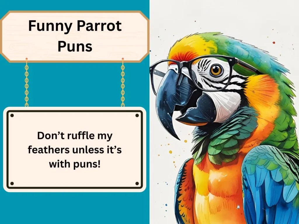 Funny Parrot Puns