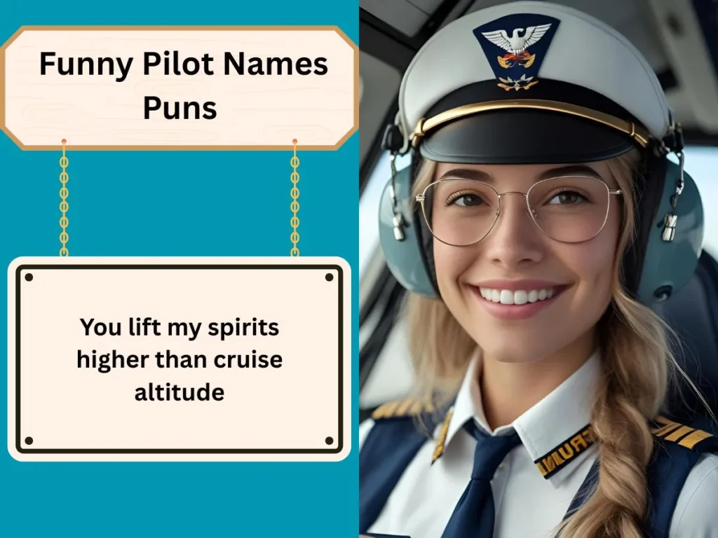 Funny Pilot Names Puns