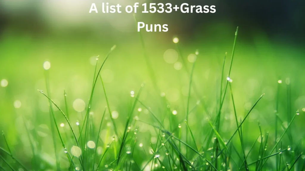 Grass Puns