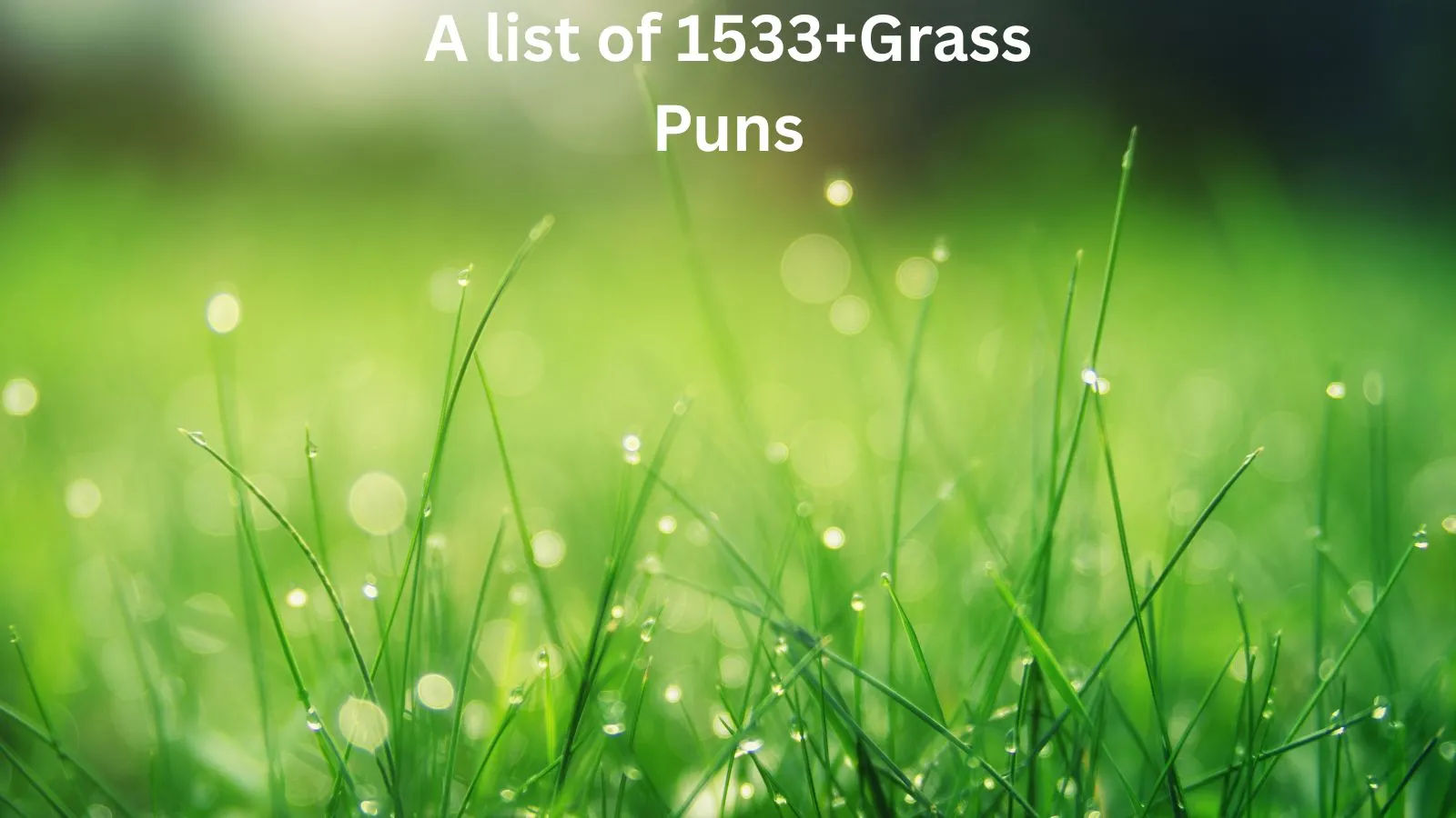You are currently viewing 1533+Grass Puns That Mow Down the Competition for 2025