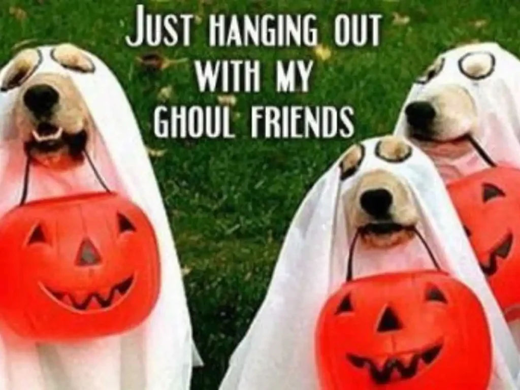 Halloween Dog Jokes