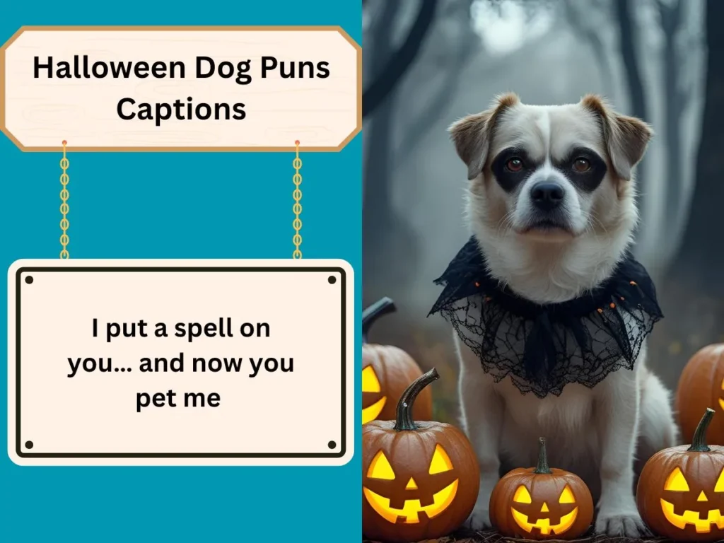 Halloween Dog Puns Captions