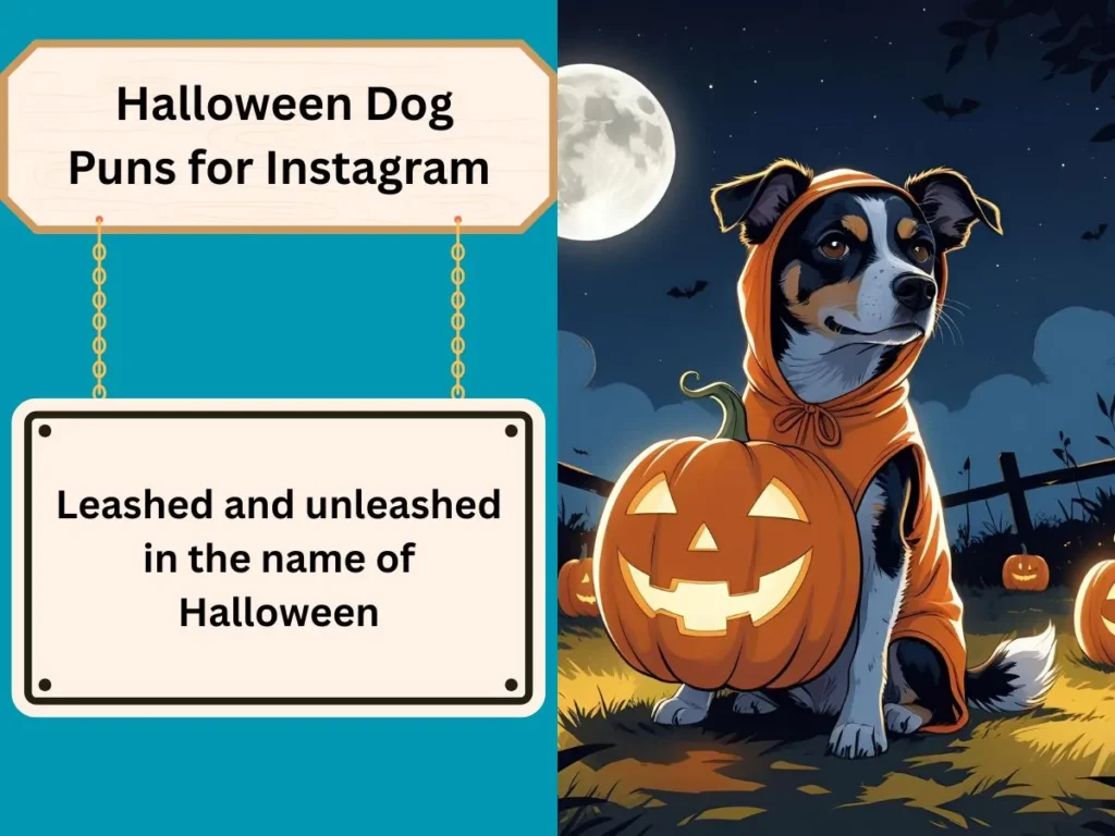  Halloween Dog Puns for Instagram
