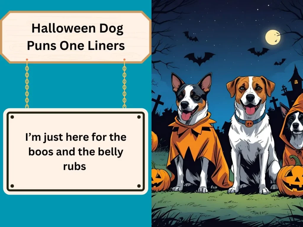  Halloween Dog Puns One Liners