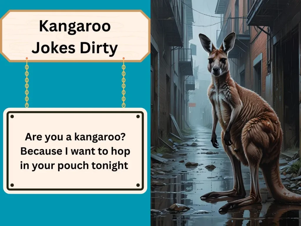 Kangaroo Jokes Dirty