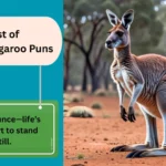 Kangaroo Puns