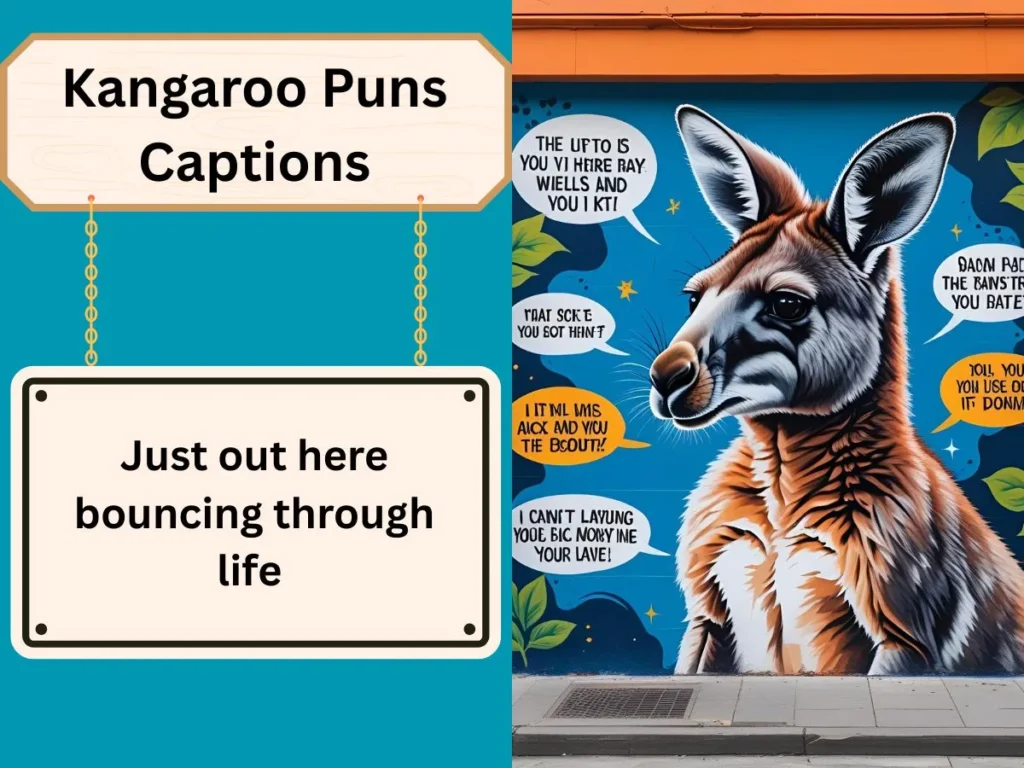 Kangaroo Puns Captions