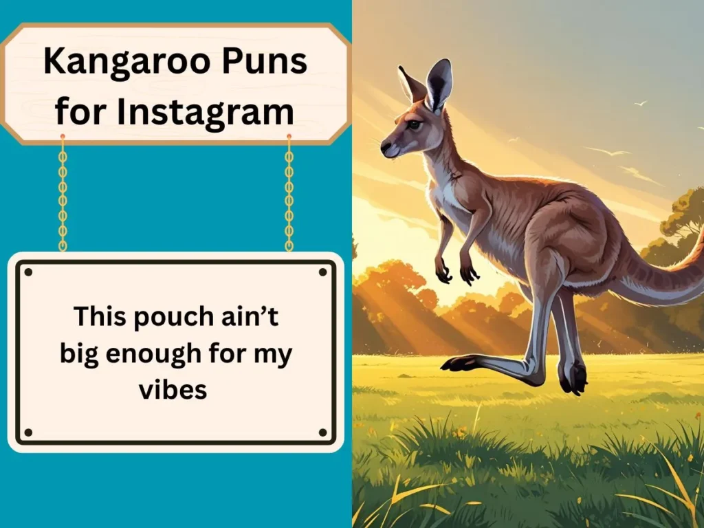 Kangaroo Puns for Instagram