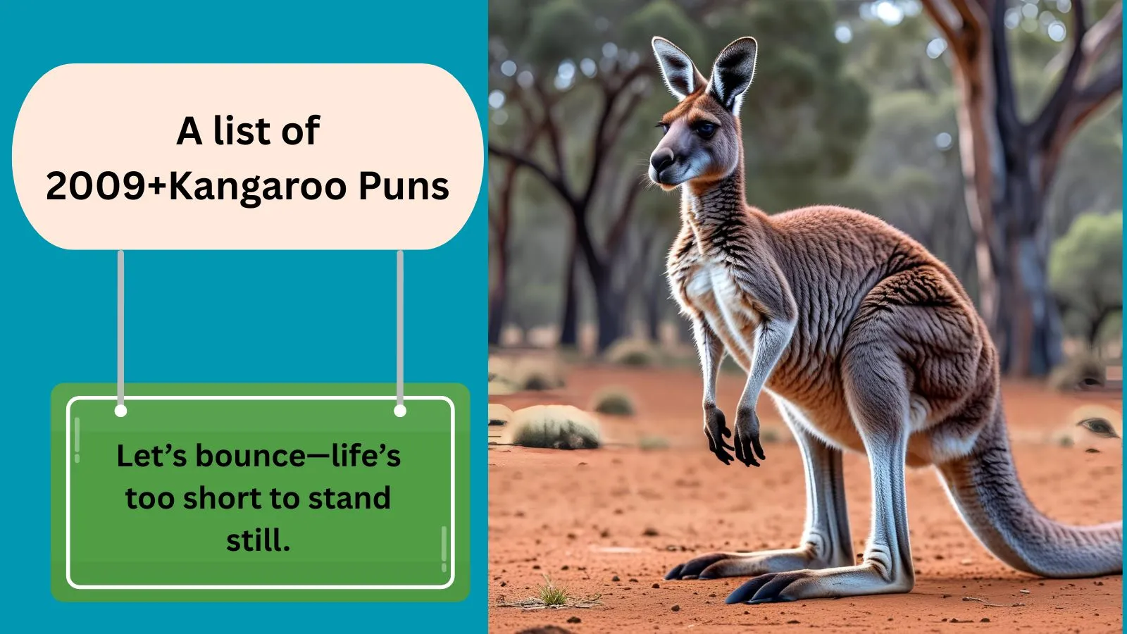 Read more about the article 2009+Kangaroo Puns That’ll Have You Jumping with Laughter